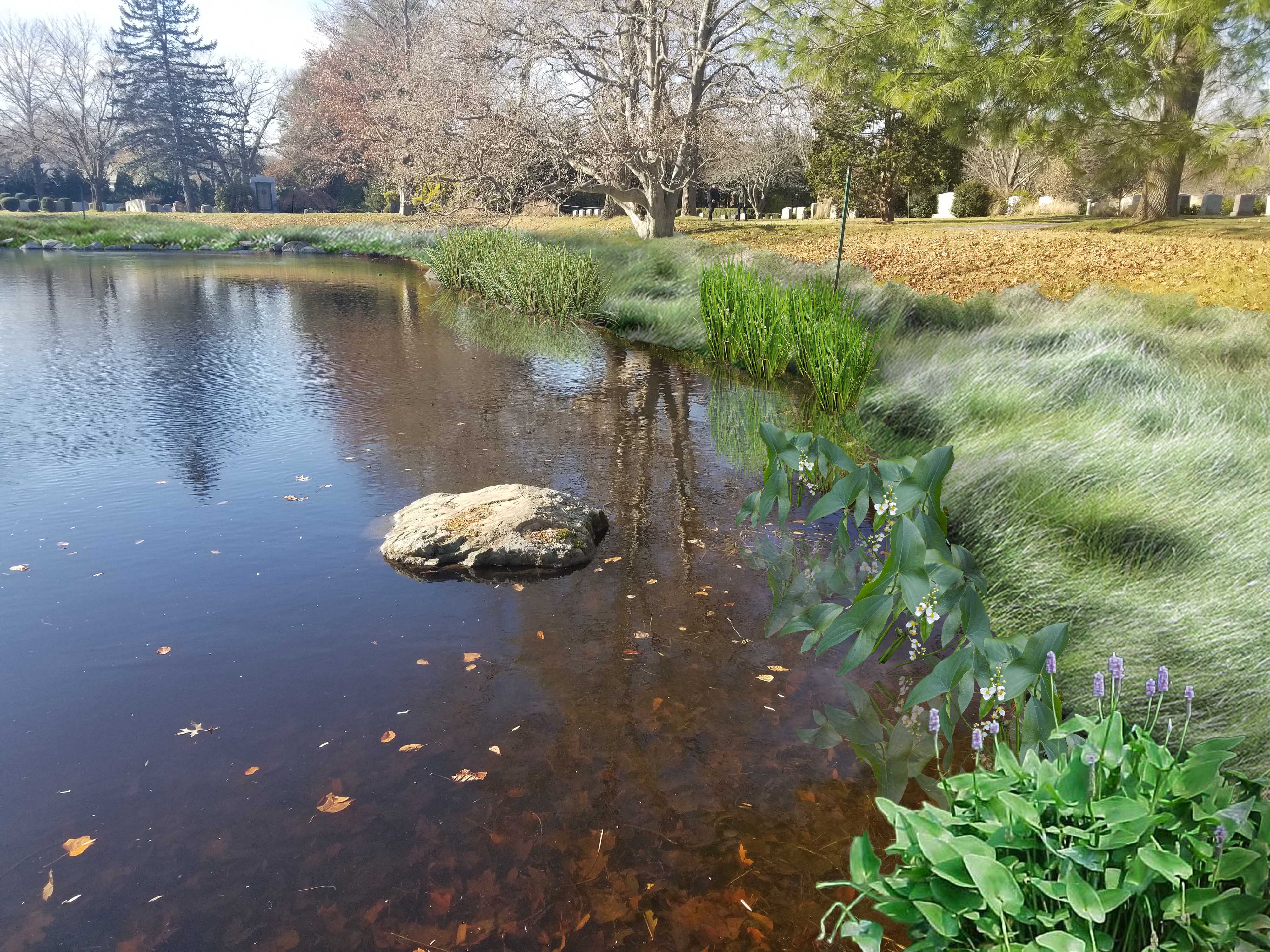 Landscape Design Graphic Art